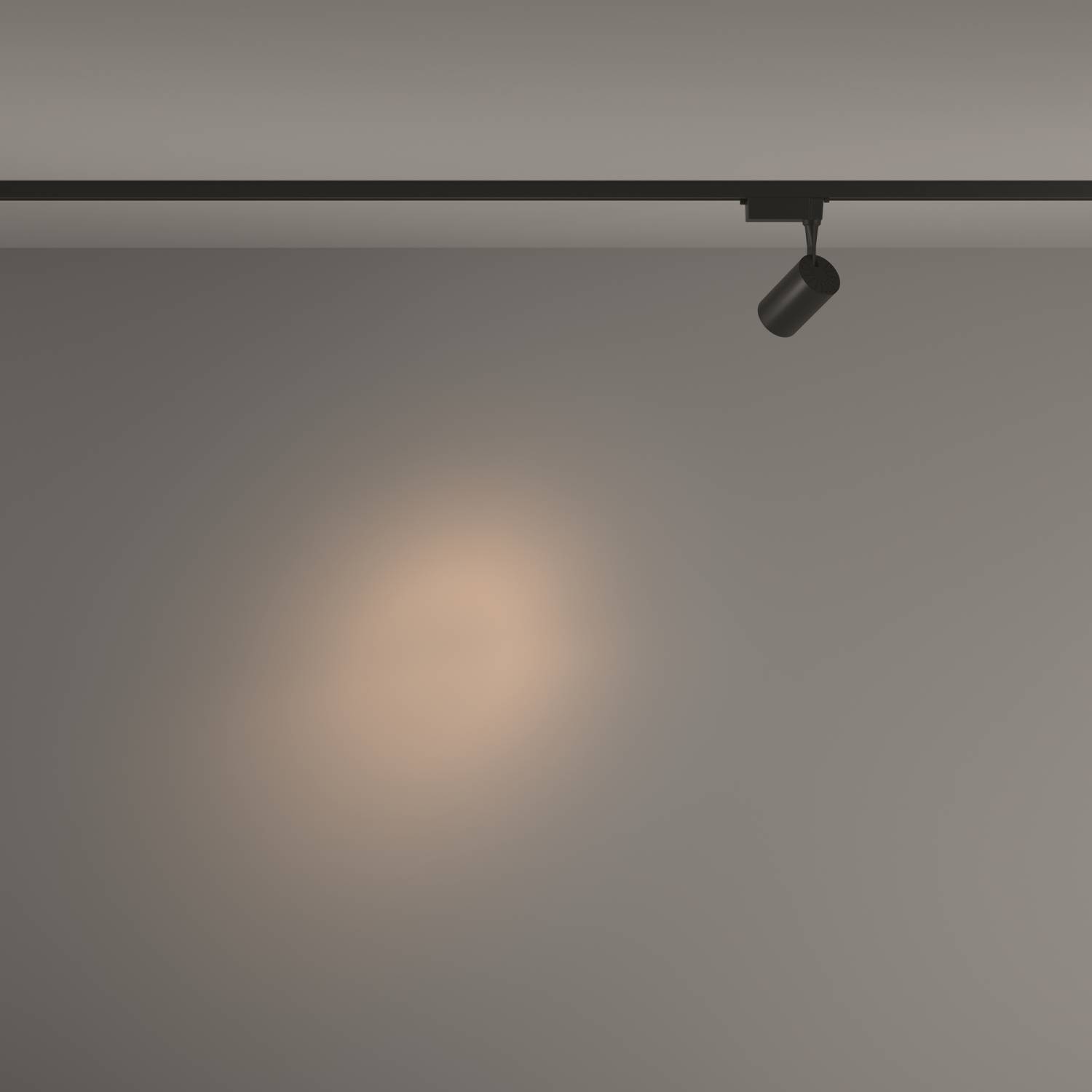 Трековый светильник Maytoni Vuoro TR003-1-6W3K-S-B