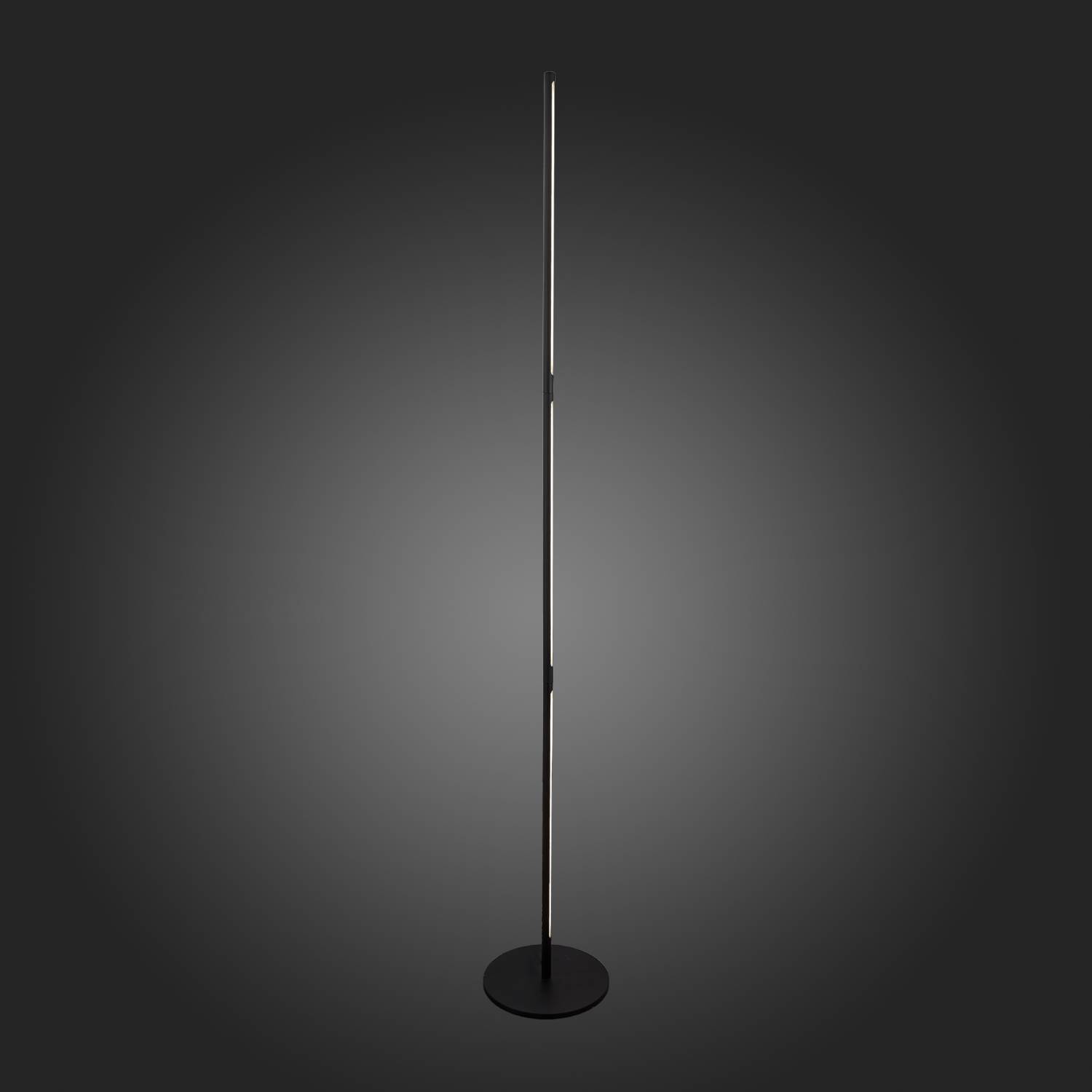 Торшер ST Luce Ralio SL1580.405.01 Торшер ST Luce Ralio SL1580.405.01