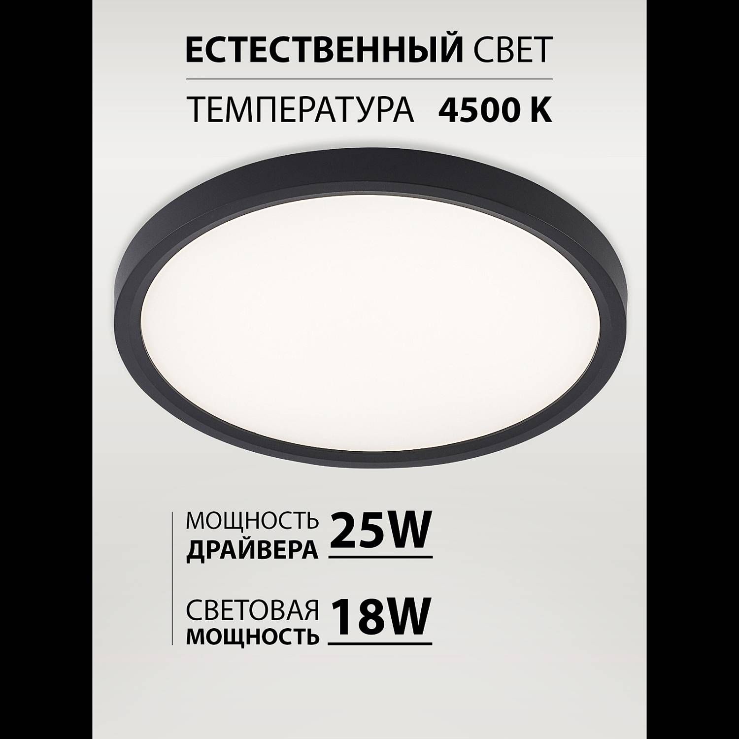 Светильник потолочный Natali Kovaltseva Plain LED LAMPS 81114/2C