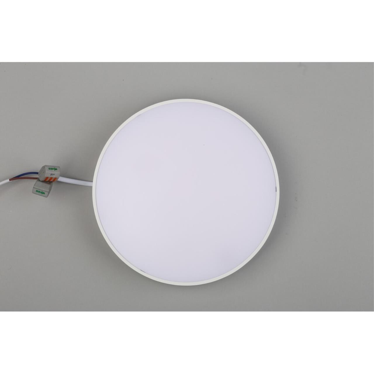 Светильник потолочный Aployt Evon APL.0114.09.24