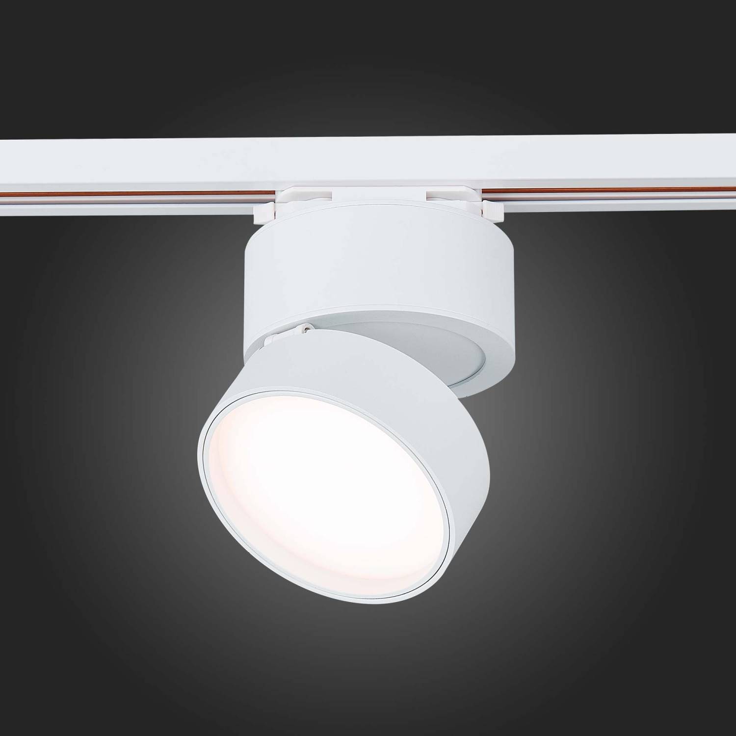 Трековый светильник ST Luce ST651 ST651.536.14 Трековый светильник ST Luce ST651 ST651.536.14