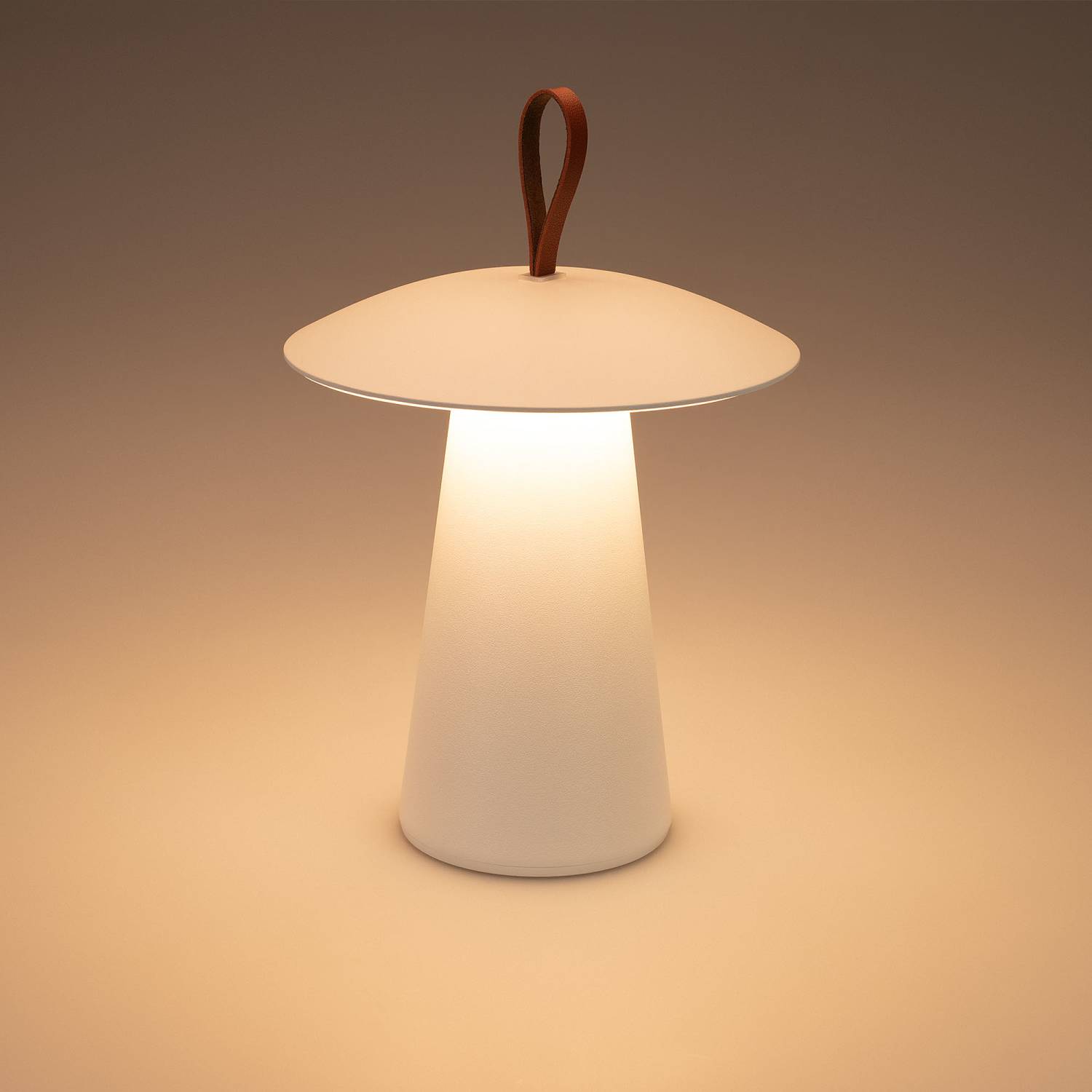 Настольная лампа Arlight Patio 030051