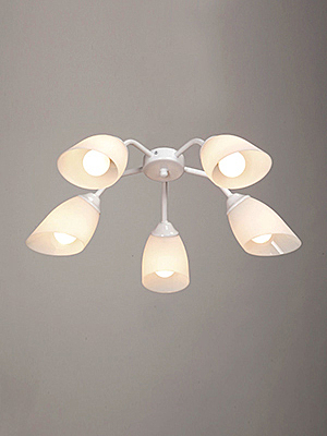 Потолочная люстра Vitaluce V31950/5PL