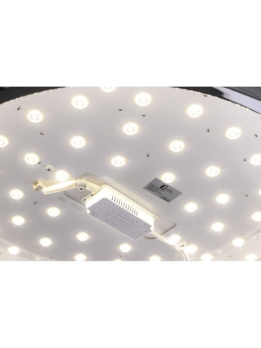 Светильник потолочный Zortes Monna ZRS.1209.12