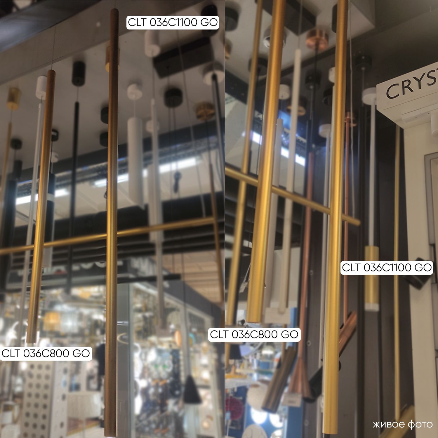 Светильник подвесной Crystal Lux Clt 036 CLT 036C1100 GO