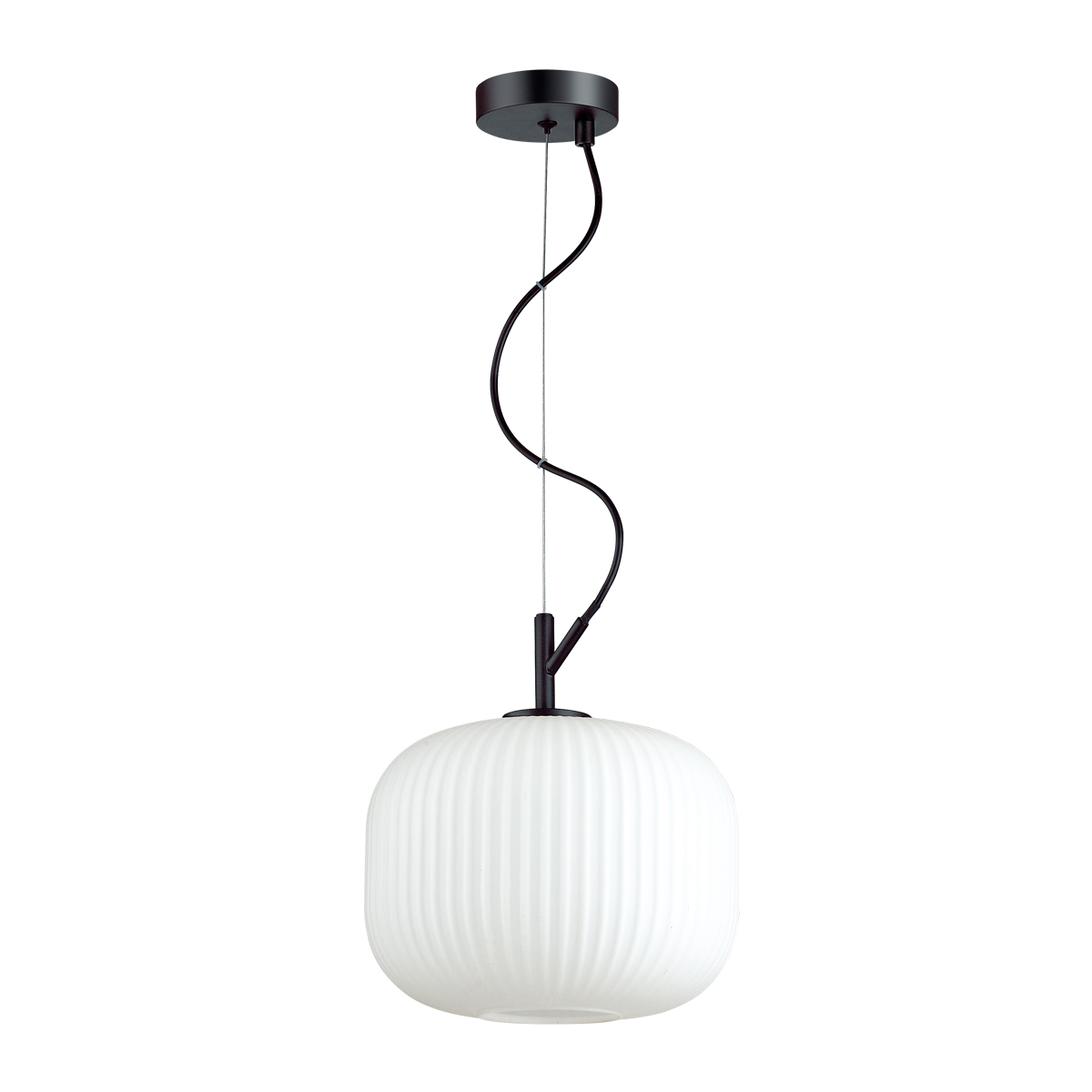 Светильник подвесной Odeon Light Roofi 4753/1