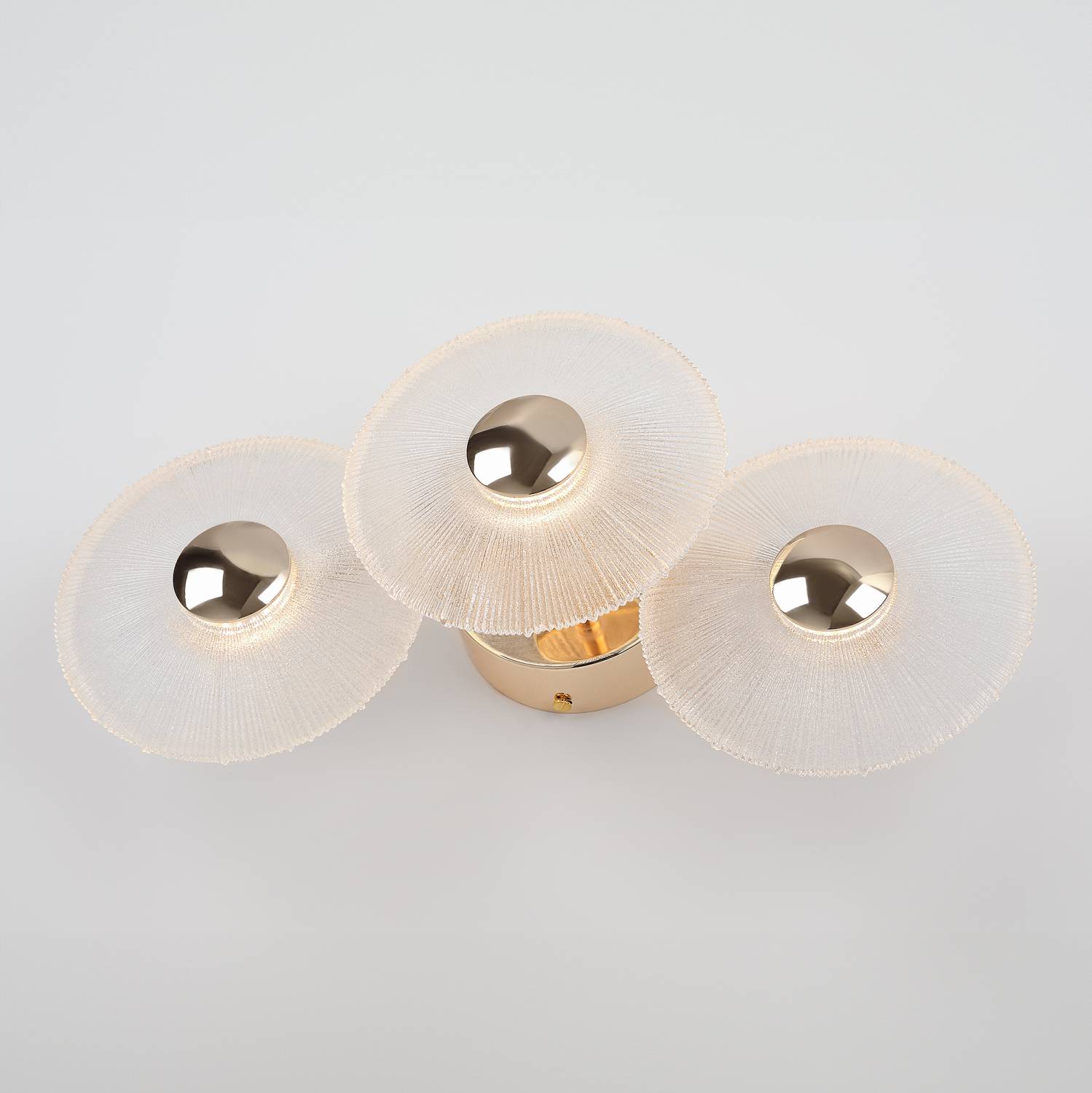 Настенный светильник Rivoli Helena 6134-401