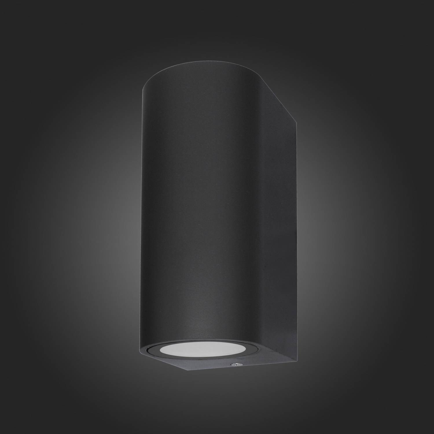 Уличный настенный светильник ST Luce Borgo SL9001.401.02