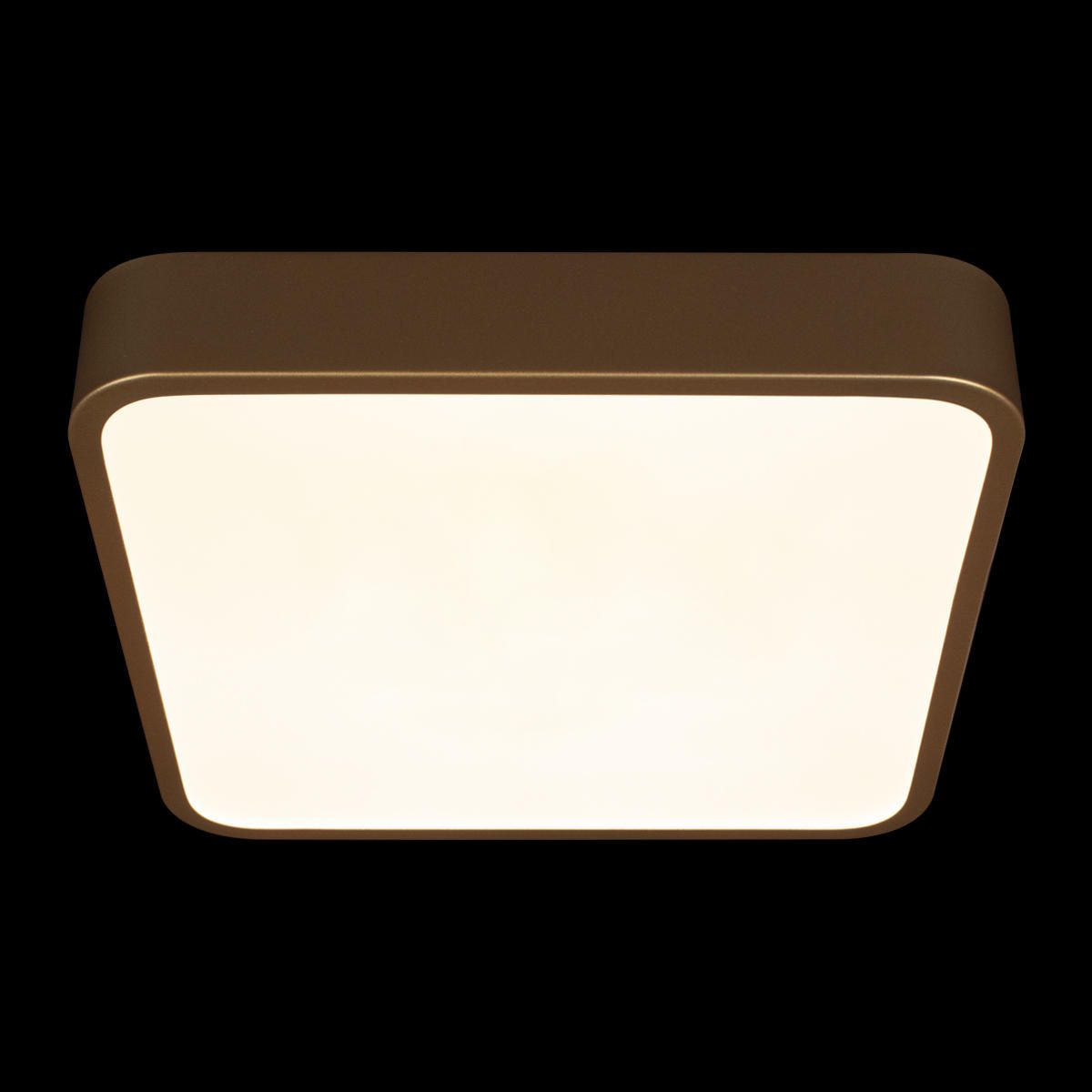 Светильник потолочный Loft It Flims 10228/C Светильник потолочный Loft It Flims 10228/C