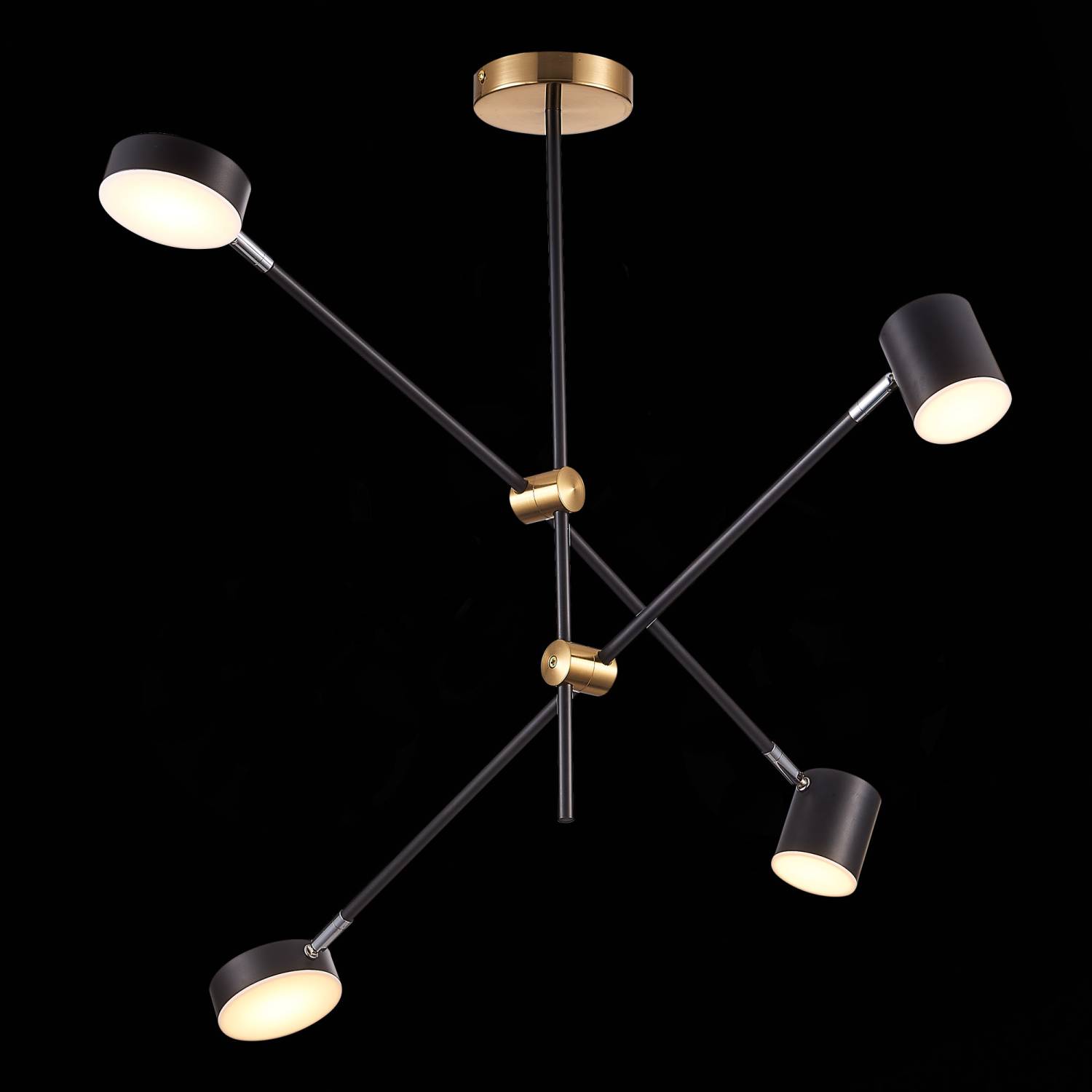 Потолочная люстра ST Luce Rodrigo SL1604.432.04 Потолочная люстра ST Luce Rodrigo SL1604.432.04