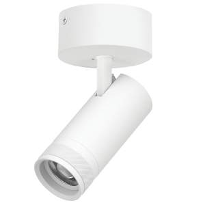 Светильник спот Lightstar Canno Pro C4206SO