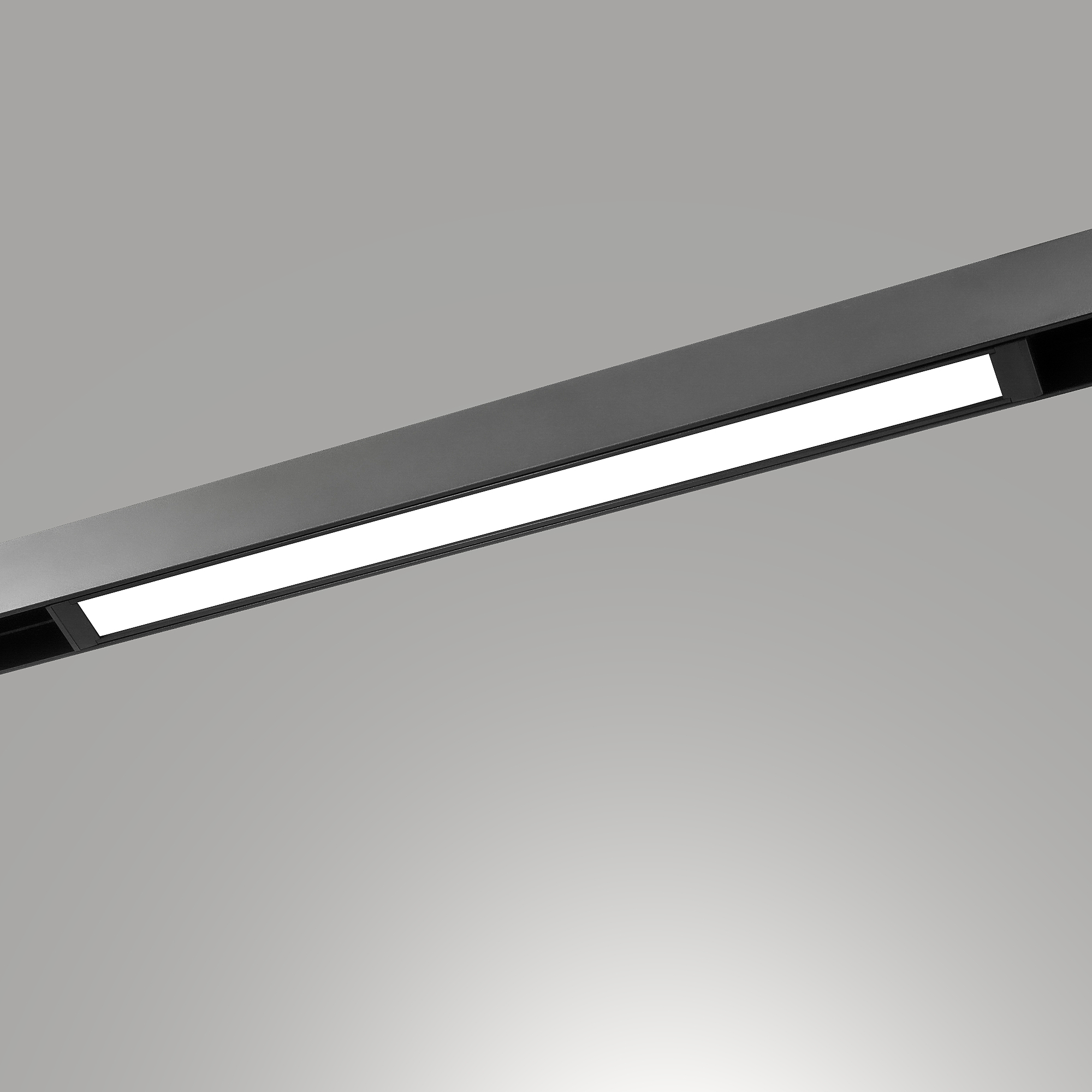 Трековый светильник LIGHTERA Startrek 220 LE169TRL-18B3K