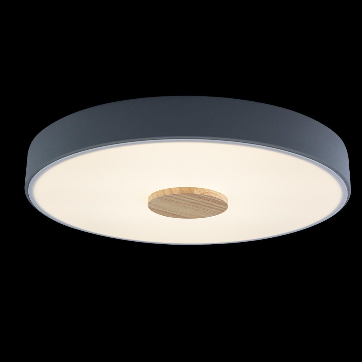 Светильник потолочный Loft It Axel 10003/24 Grey Светильник потолочный Loft It Axel 10003/24 Grey