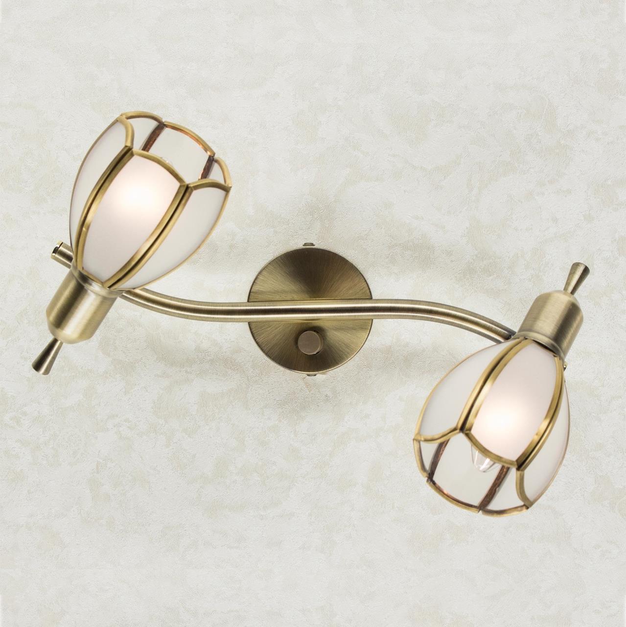 Светильник спот Citilux Альтен-2 CL522621