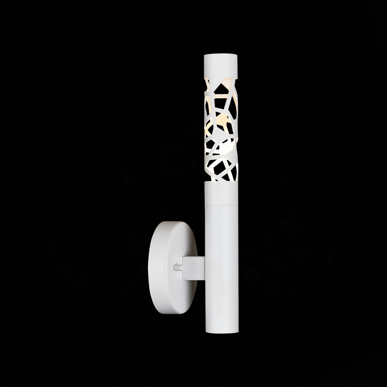 Настенное бра ST Luce Fizorio SL1577.501.01