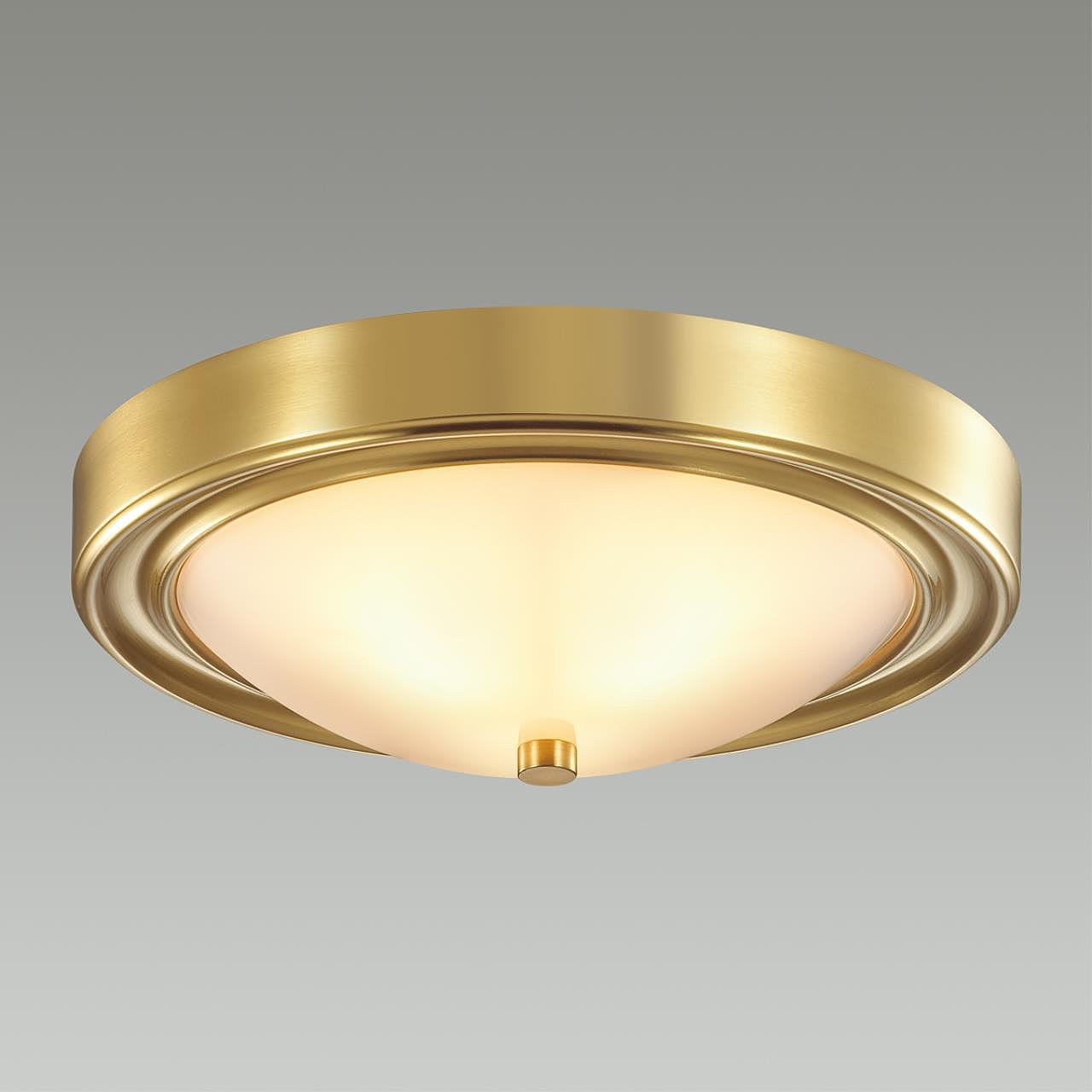 Светильник потолочный Lumion Nina 5259/2C Светильник потолочный Lumion Nina 5259/2C
