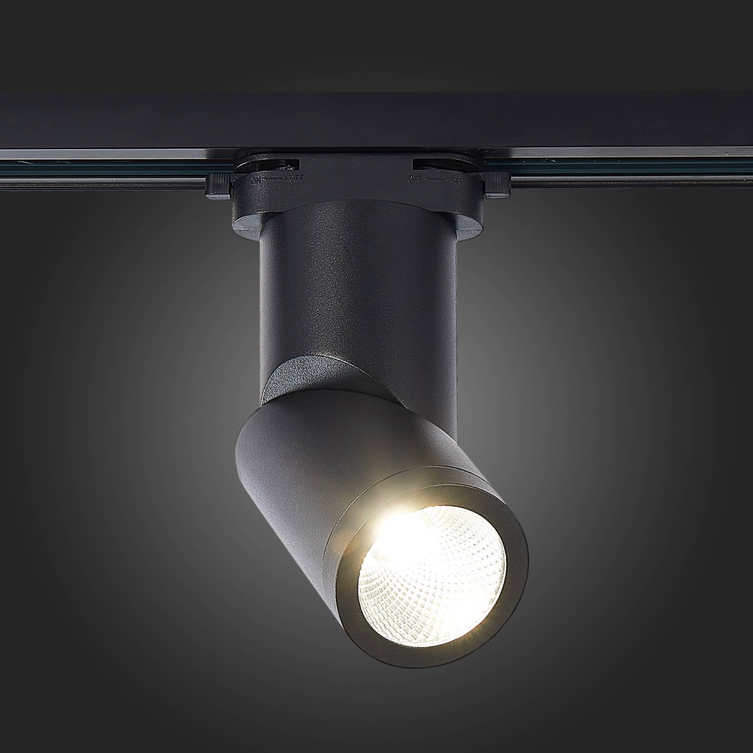 Трековый светильник ST Luce St650 ST650.446.10