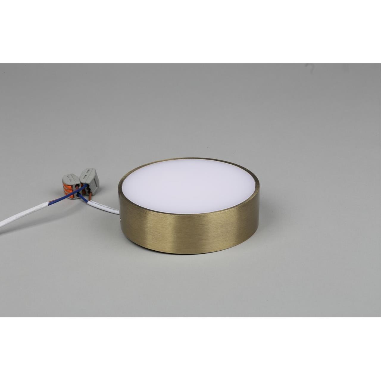 Светильник потолочный Aployt Evon APL.0114.29.12