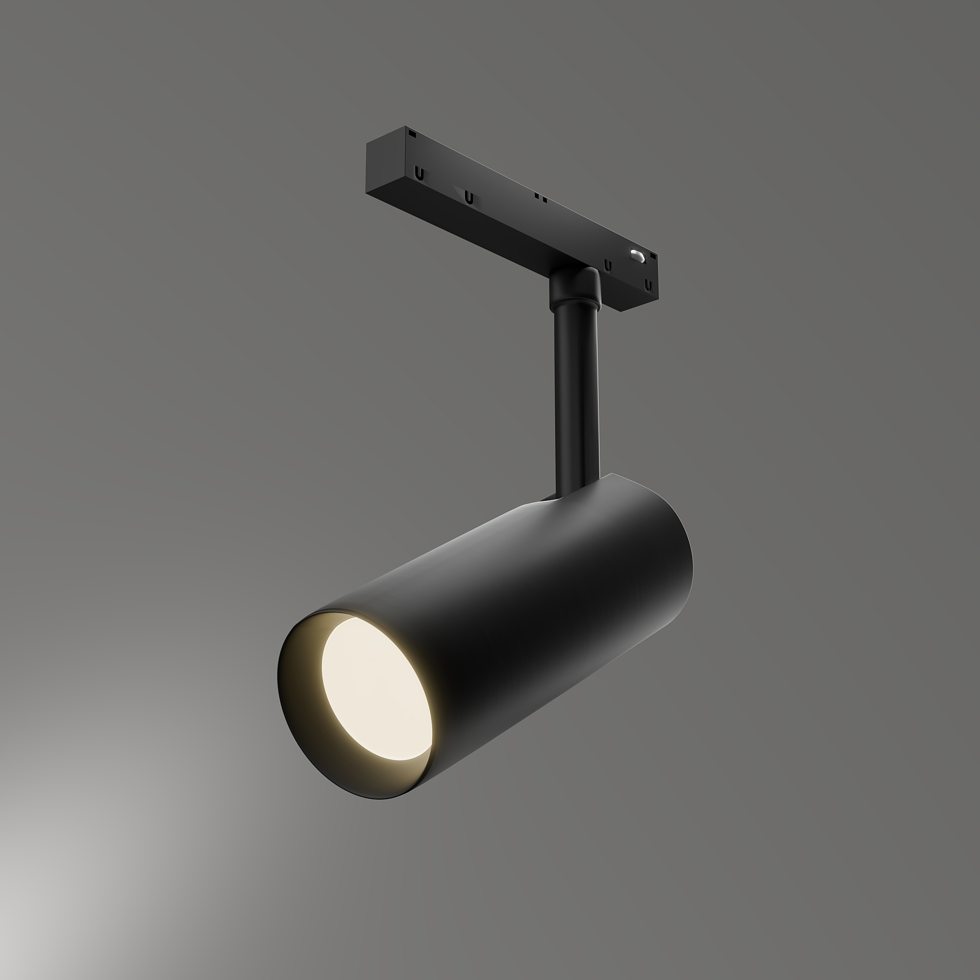 Трековый светильник LIGHTERA Startrek 48 LE166TRS-10B SMART