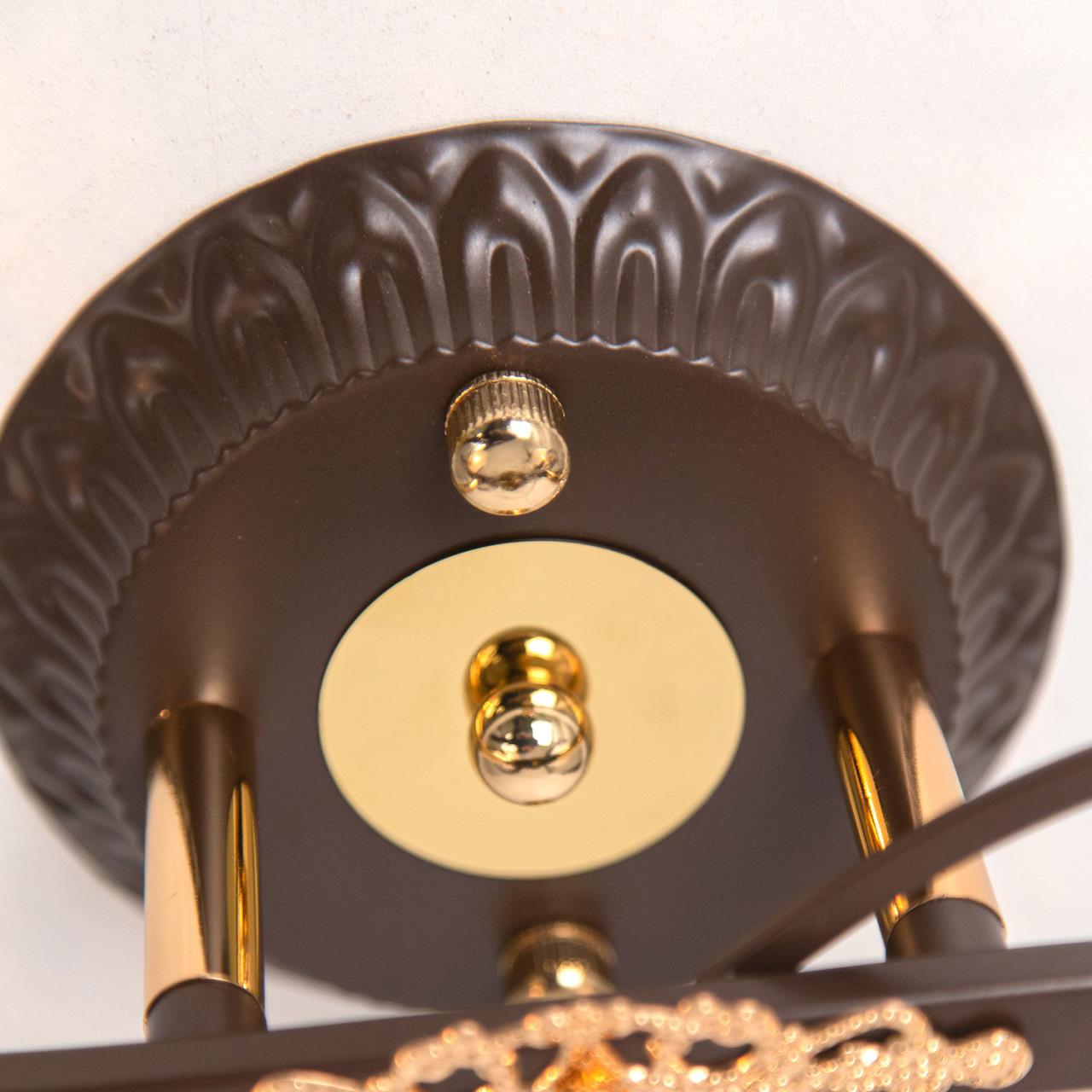 Потолочная люстра Citilux Мотив CL166121