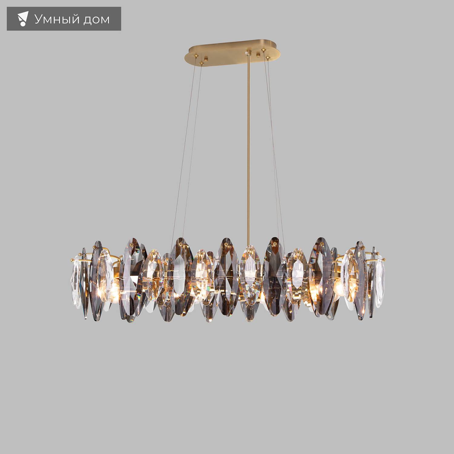 Подвесная люстра Bogate's Onyx 372/8 Strotskis Smart