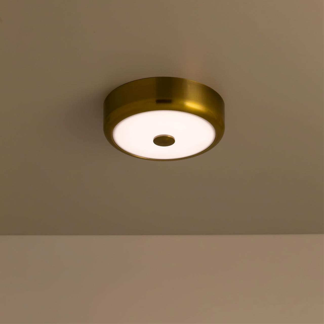 Потолочный светодиодный светильник Citilux Фостер-1 CL706112