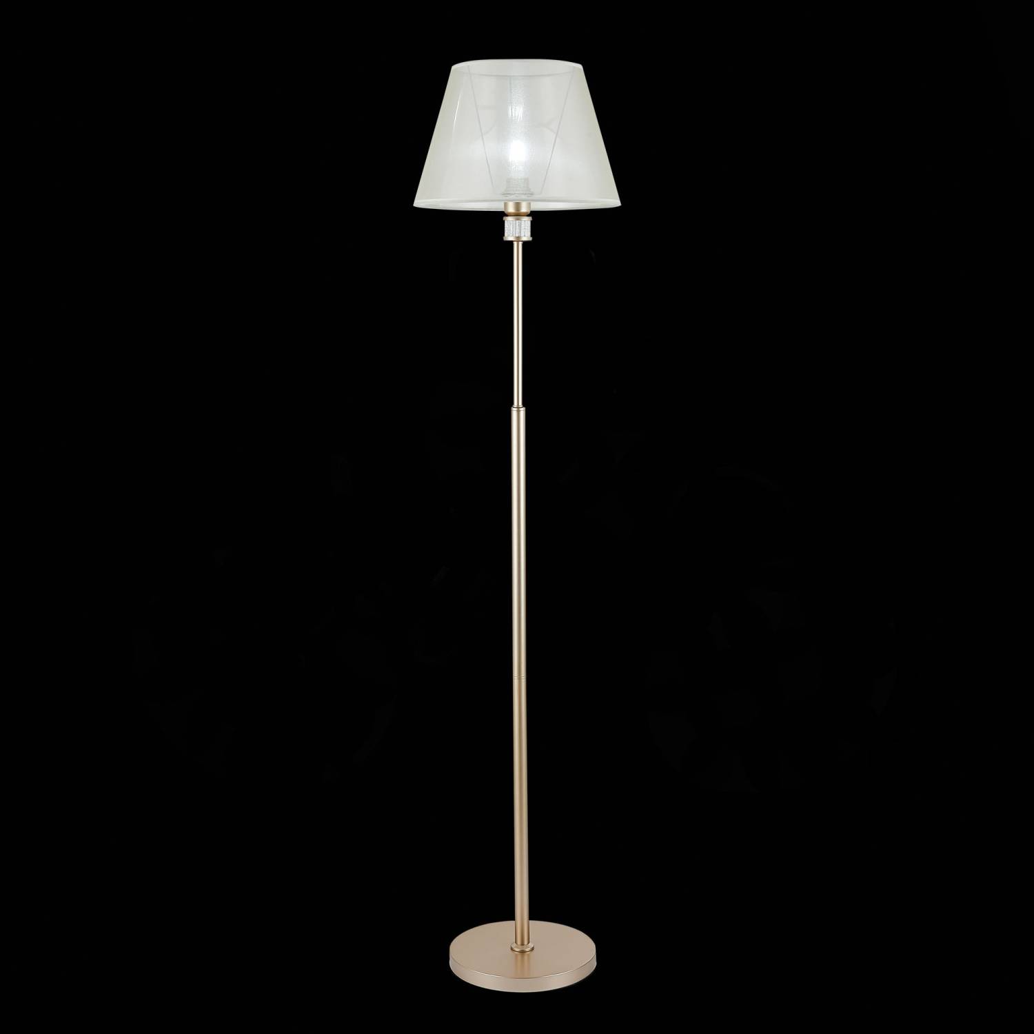 Торшер Evoluce Manila SLE107505-01