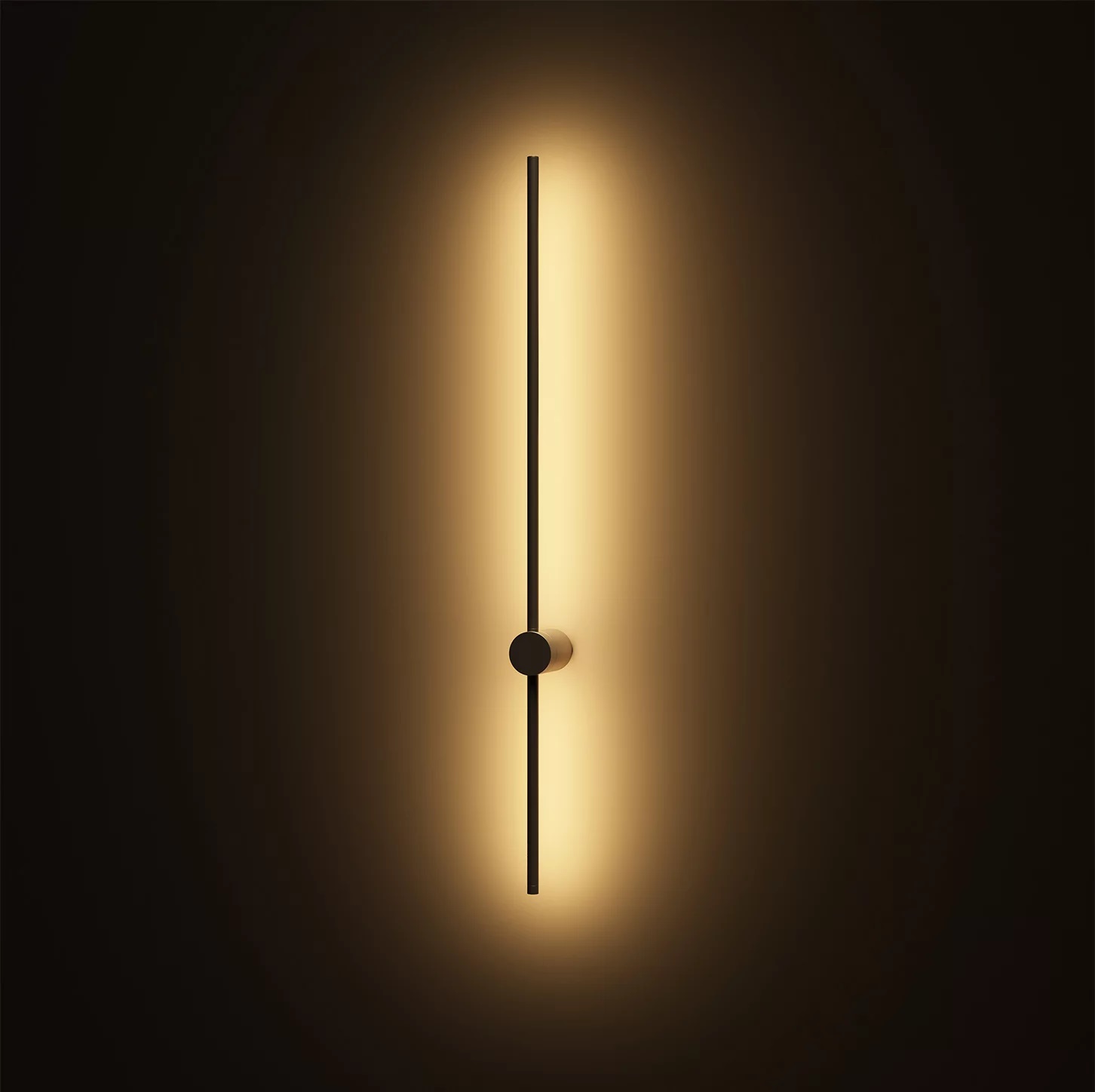 Настенный светильник Denkirs Stang DK5014-SG Настенный светильник Denkirs Stang DK5014-SG