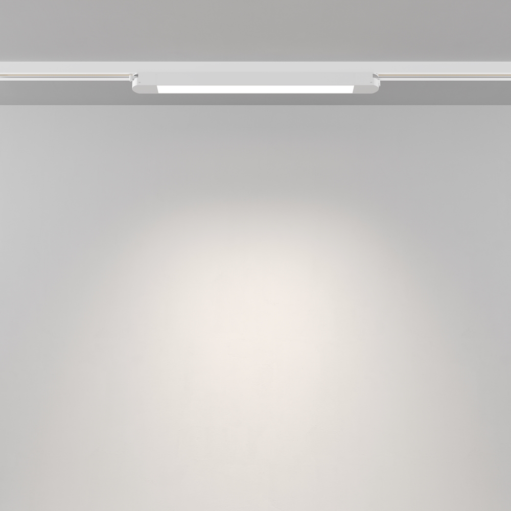 Трековый светильник Maytoni Basis TR000-1-12W4K-W_1