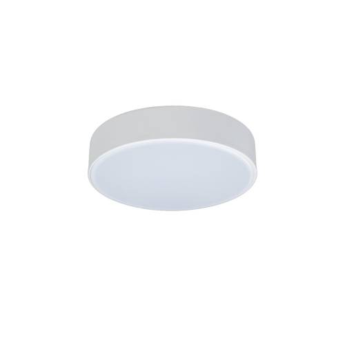 Светильник потолочный Loft It Axel 10002/12 White