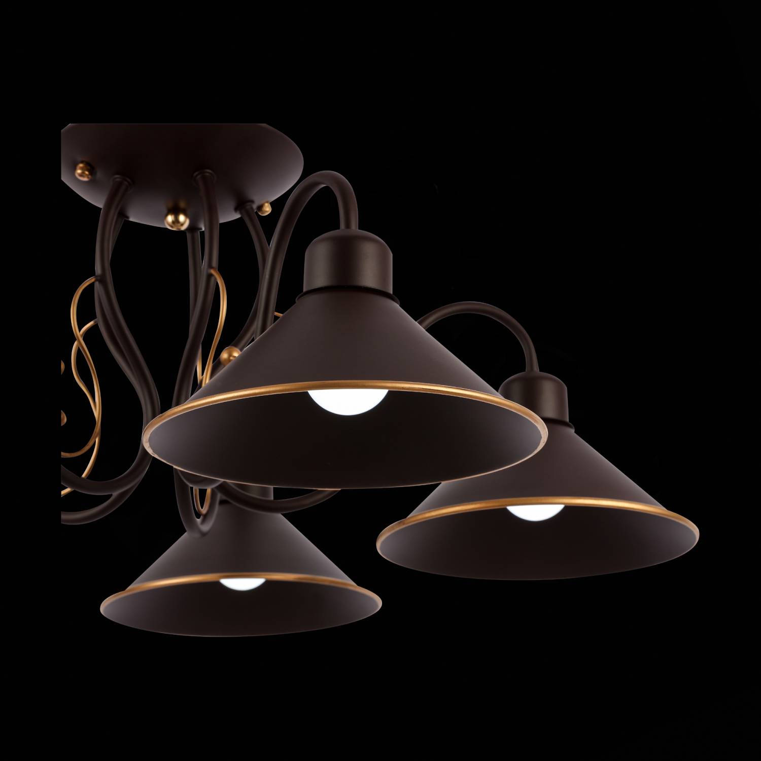 Потолочная люстра Evoluce Ciolla SLE120402-05 Потолочная люстра Evoluce Ciolla SLE120402-05