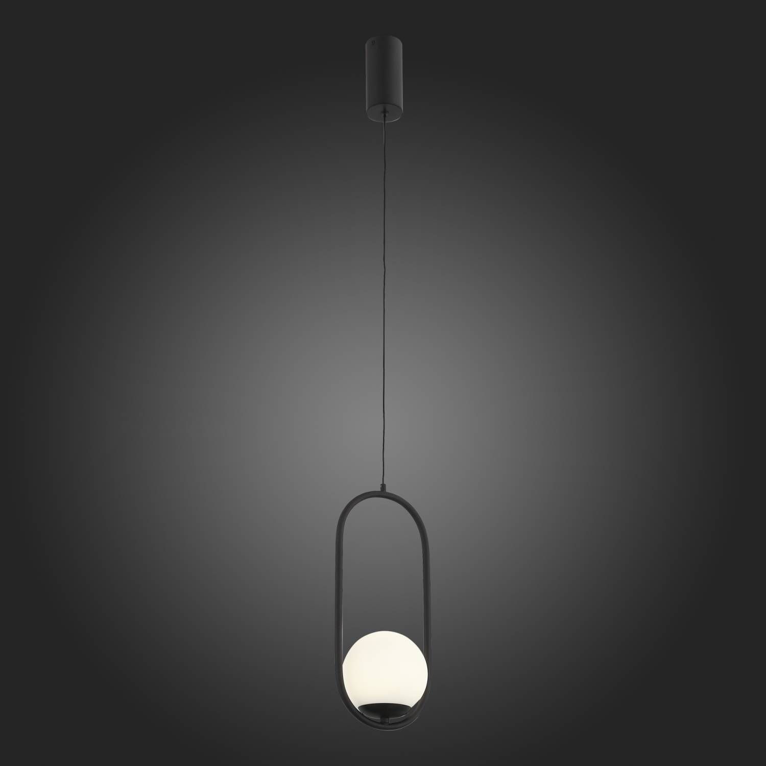 Светильник подвесной ST Luce Donolo SL395.403.01
