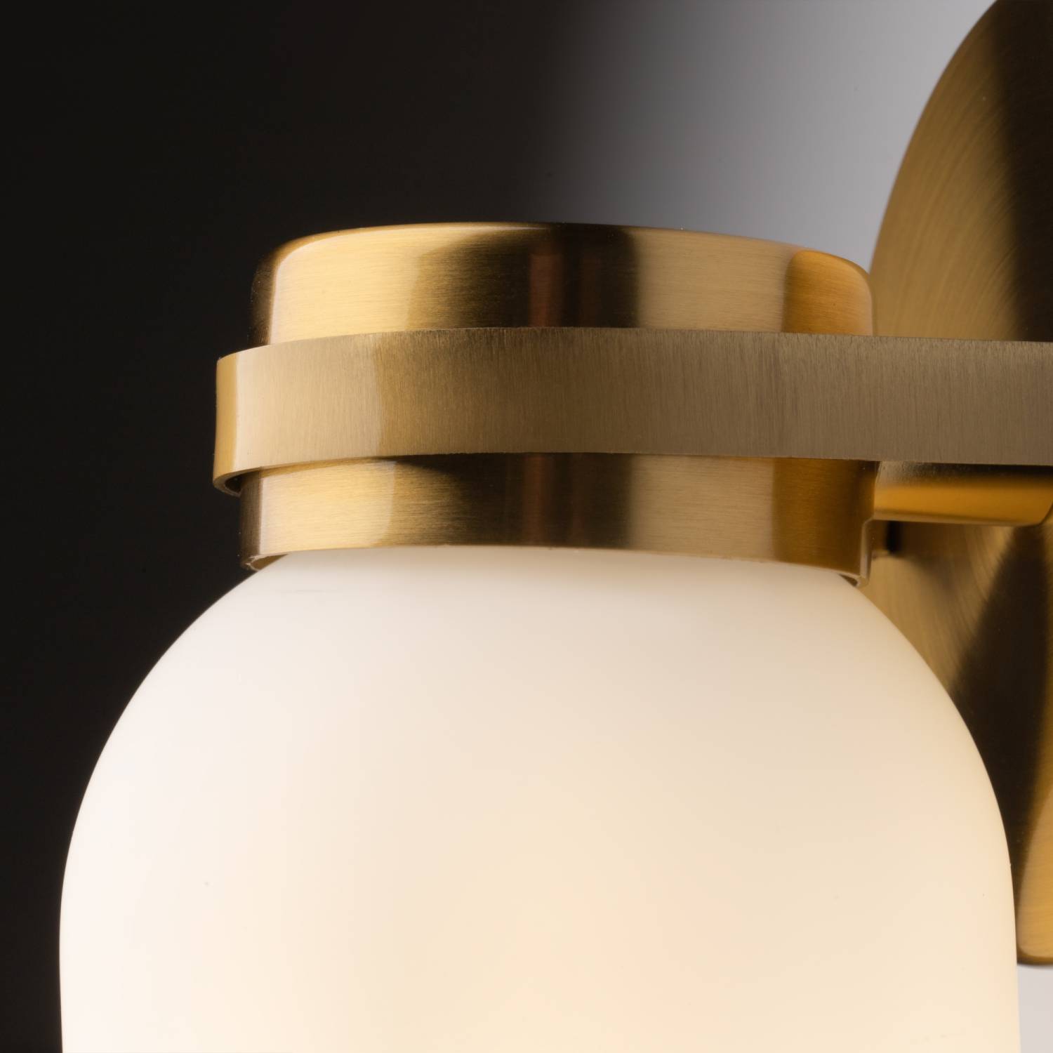 Настенное бра Freya Kamelia FR5446WL-01BS