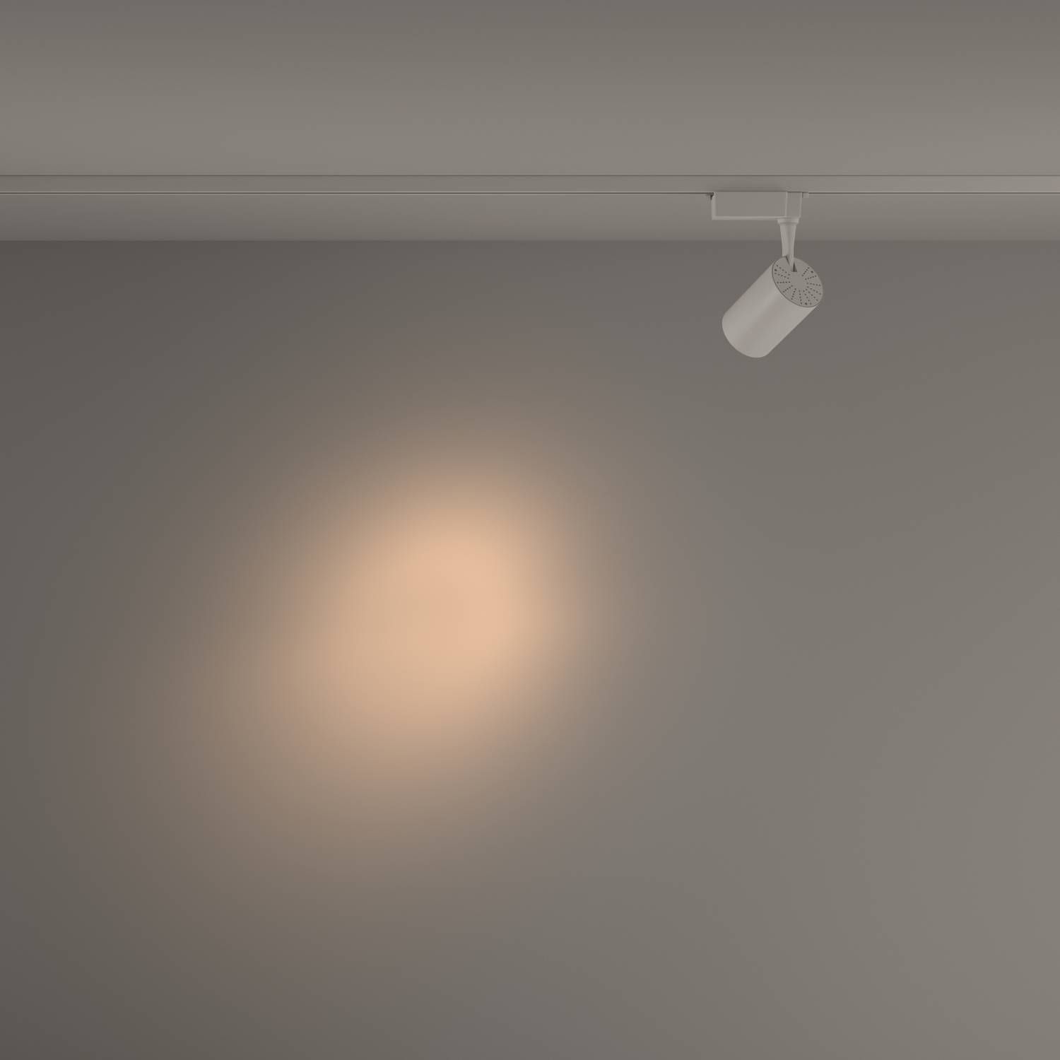 Трековый светильник Maytoni Vuoro Unity TR003-1-10W3K-S-W