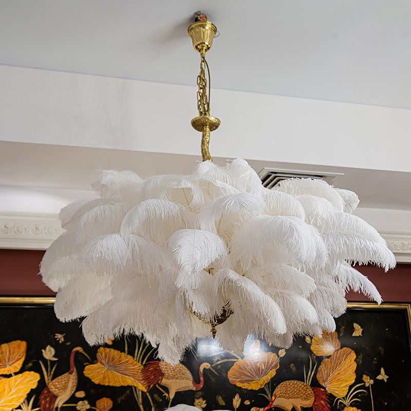 Подвесная люстра L'Arte Luce Luxury Feather Lamp L03408.02
