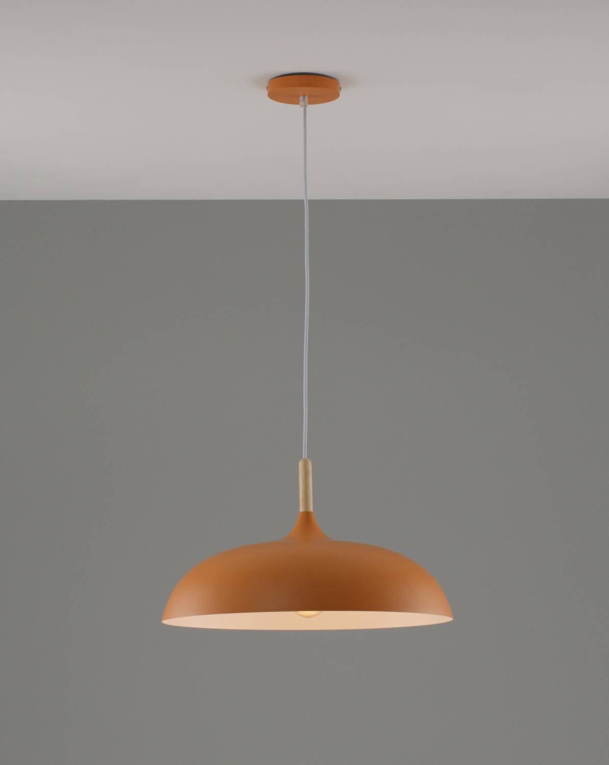 Светильник подвесной Moderli Hygo V11451-1P