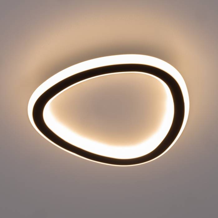 Потолочная люстра Citilux Тrio CL215B221