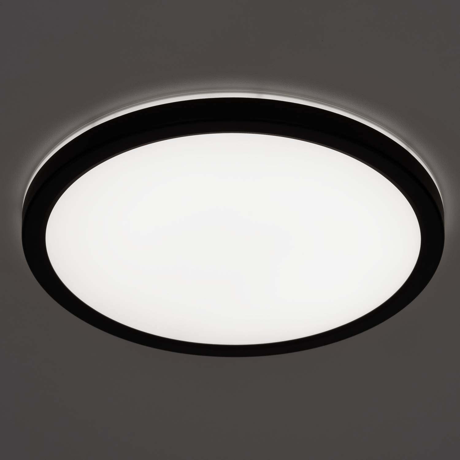 Светильник потолочный Citilux Basic Line CL738241VL