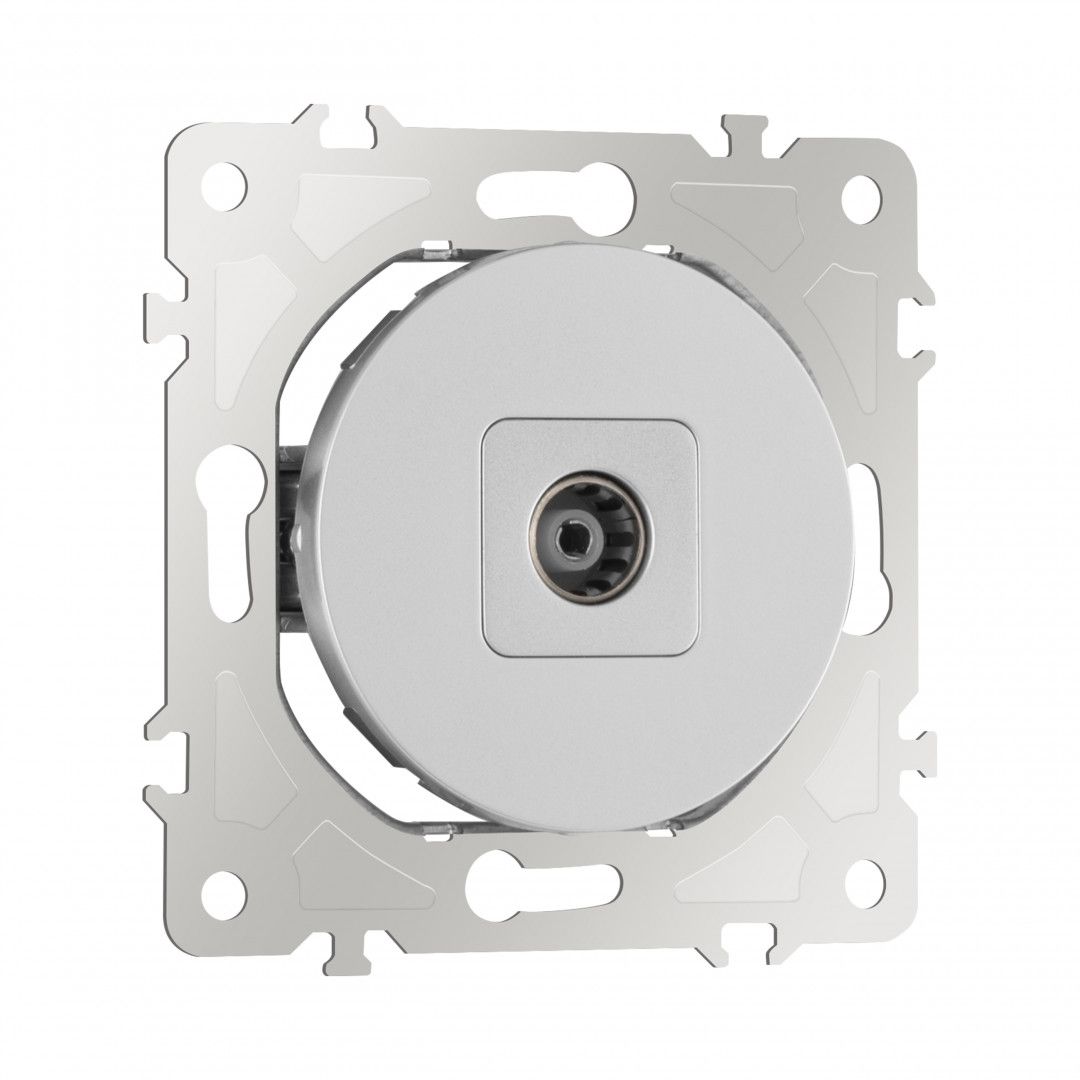 Розетка Arte Milano Am-202 202.43-1.silver