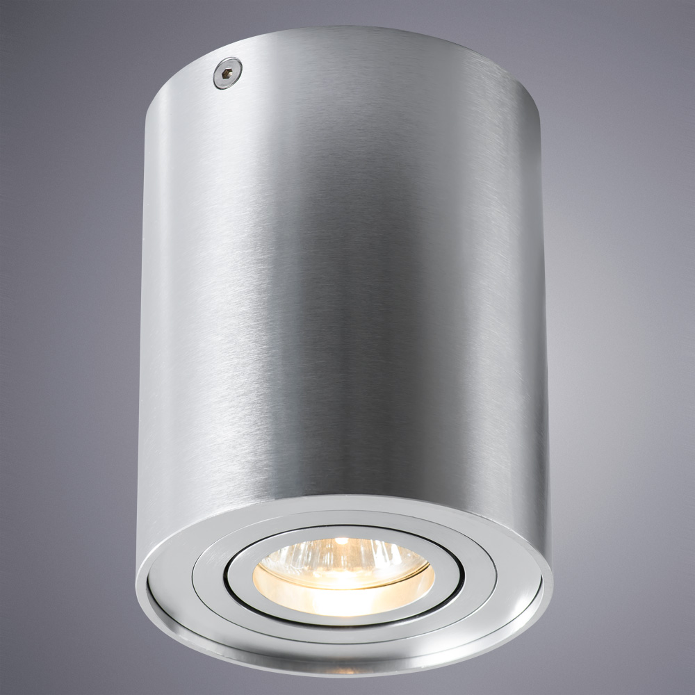 Накладной светильник Arte Lamp Falcon A5644PL-1SI