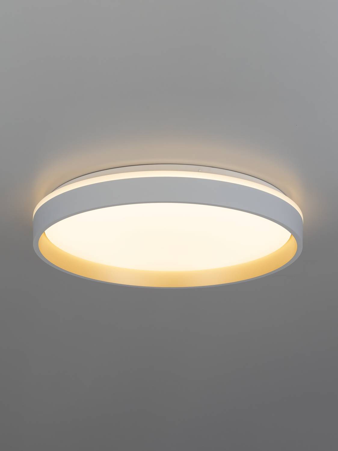 Светильник потолочный Citilux Enzo CL753450G
