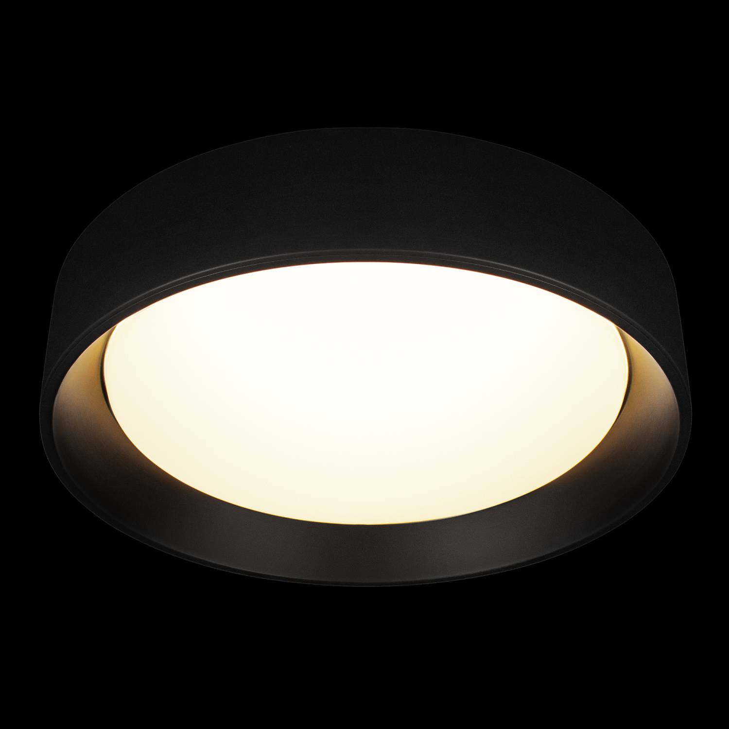 Светильник потолочный Loft It Coin 10202 BB