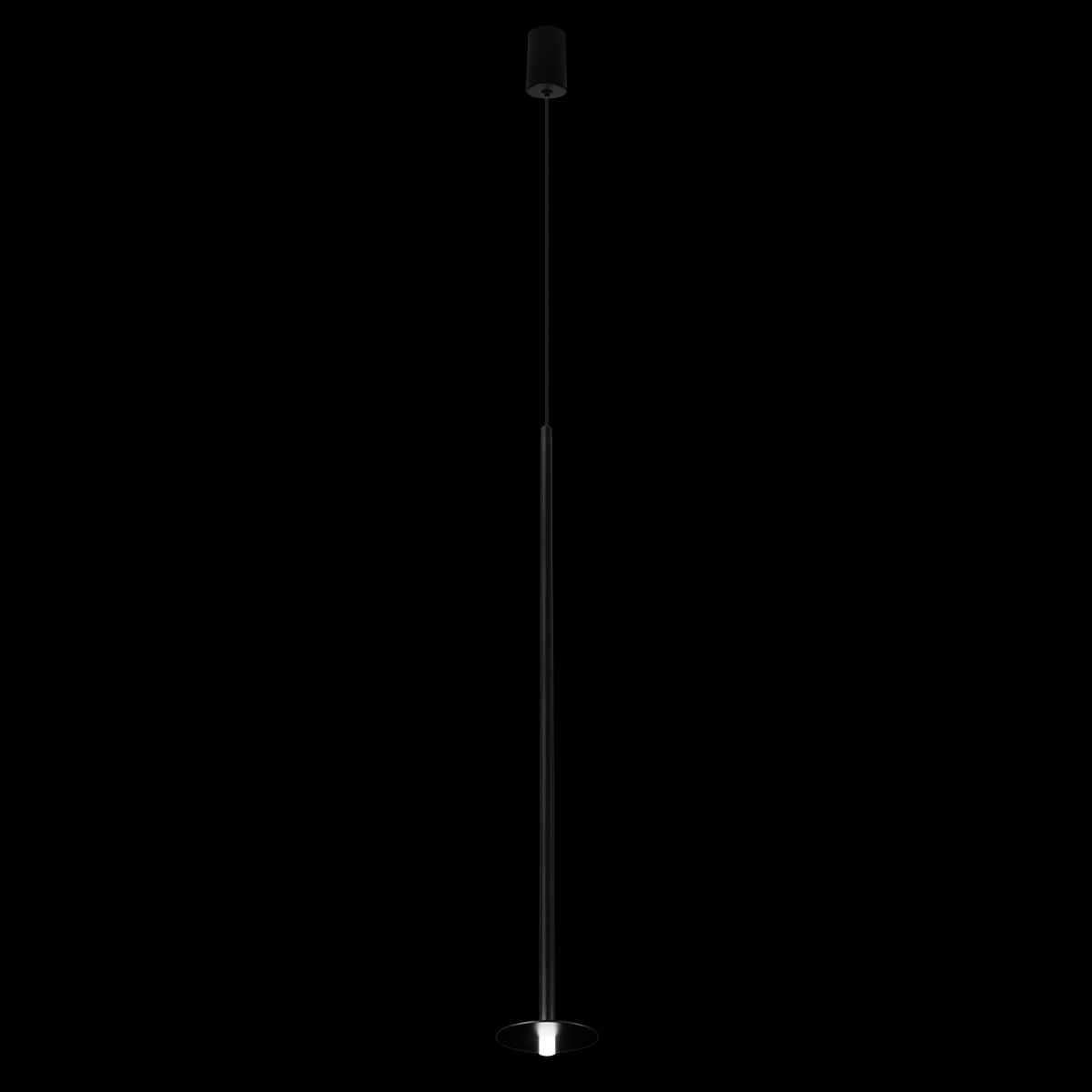 Светильник подвесной Loft It Reed 10358/830 Disk