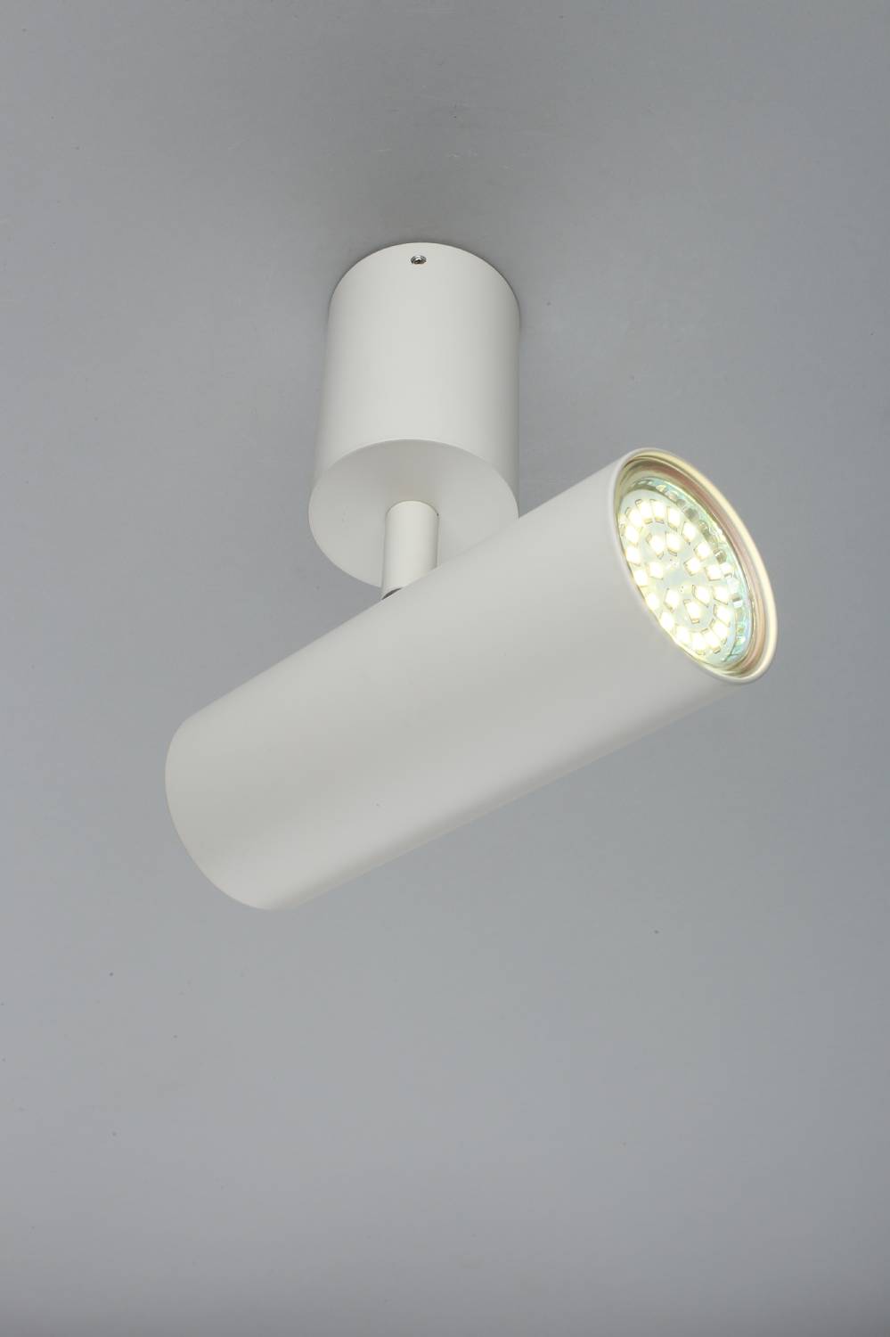 Светильник спот Aployt Berenis APL.007.02.01