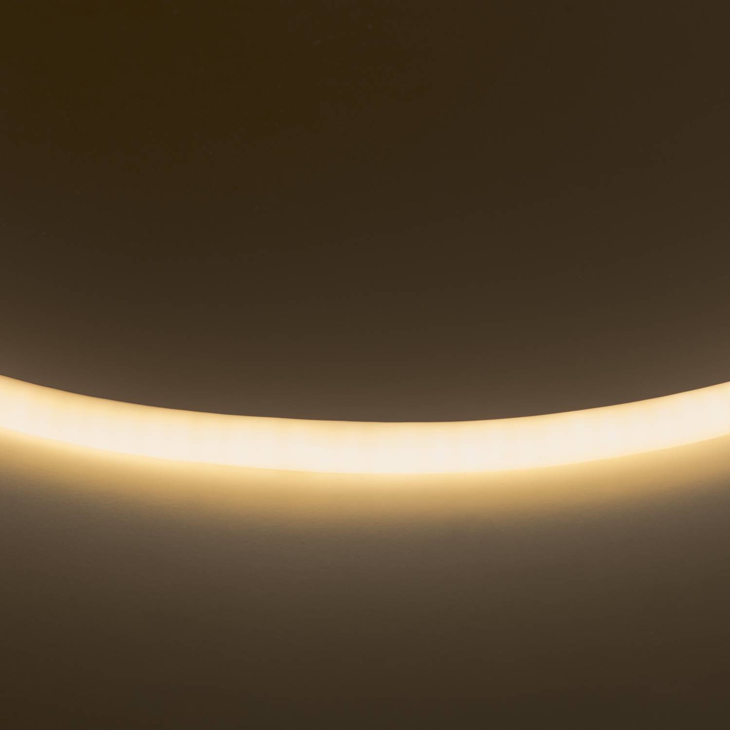 Светодиодный шнур Lightstar Neolid 430202