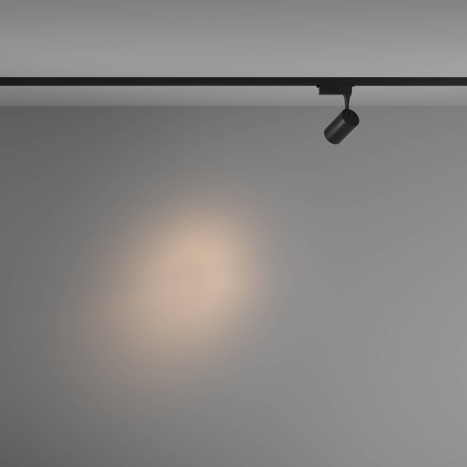 Трековый светильник Maytoni Vuoro TR003-1-6W3K-S-B