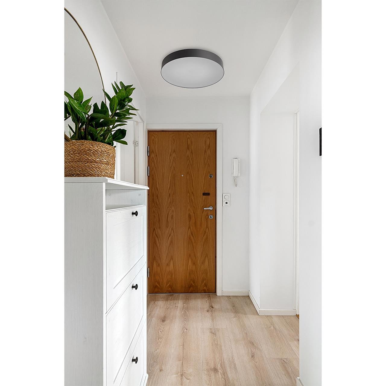 Настенно потолочный светильник Sonex Optima 7780/ELN