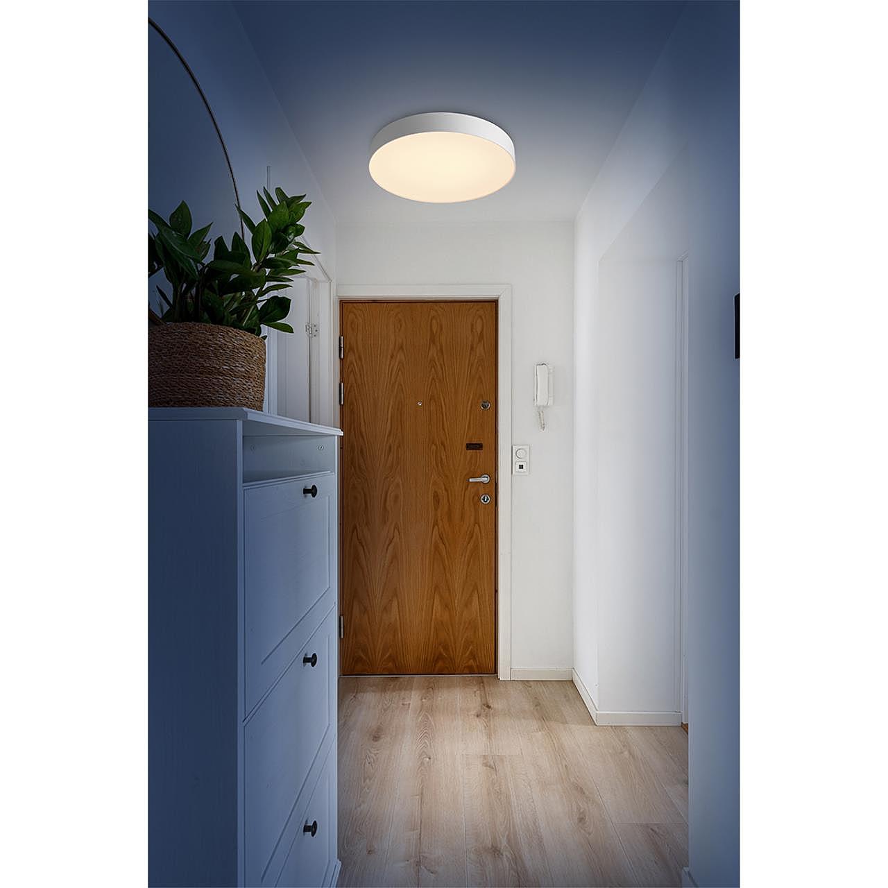 Настенно потолочный светильник Sonex Optima 7779/ELN