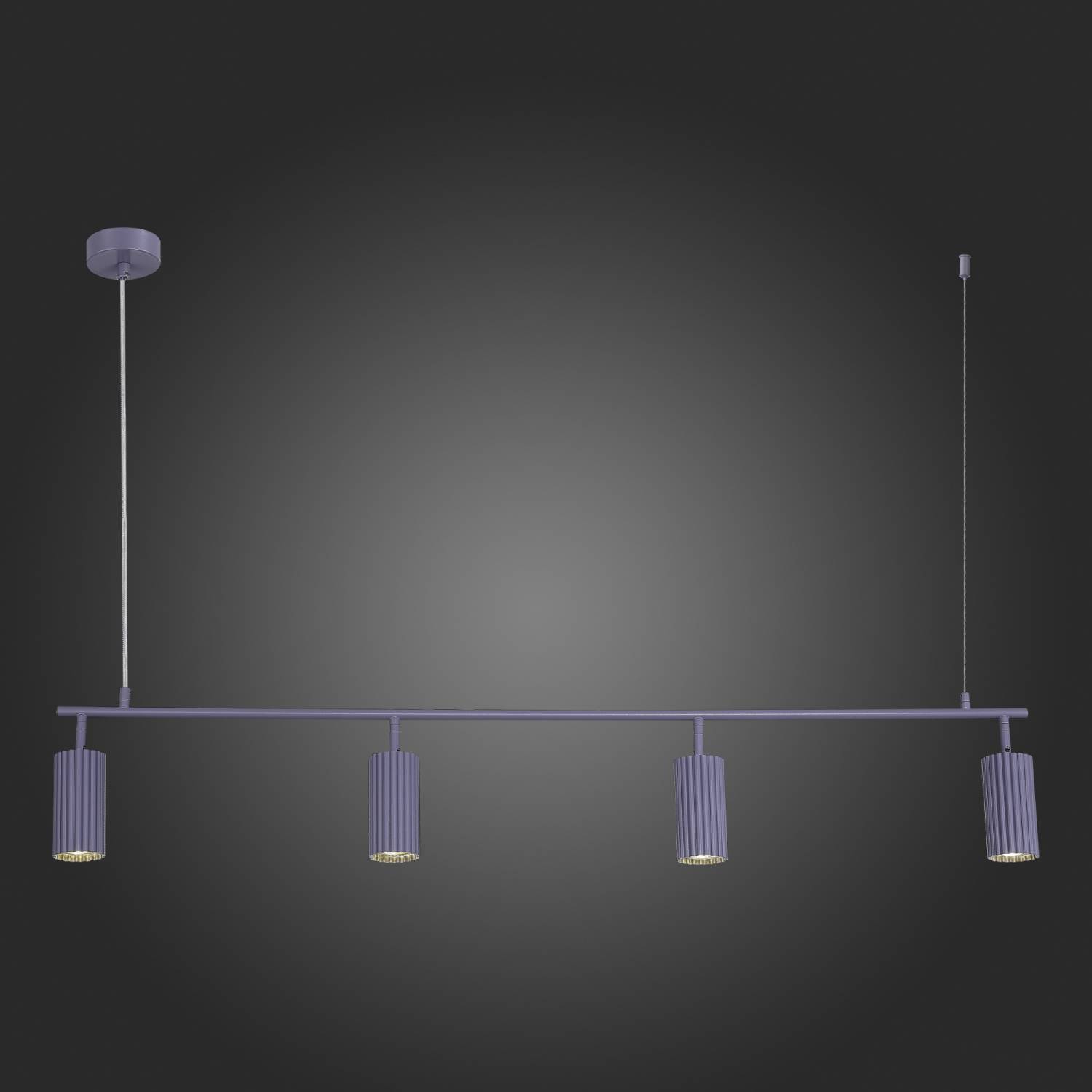 Светильник подвесной ST Luce Kendo SL1213.703.04