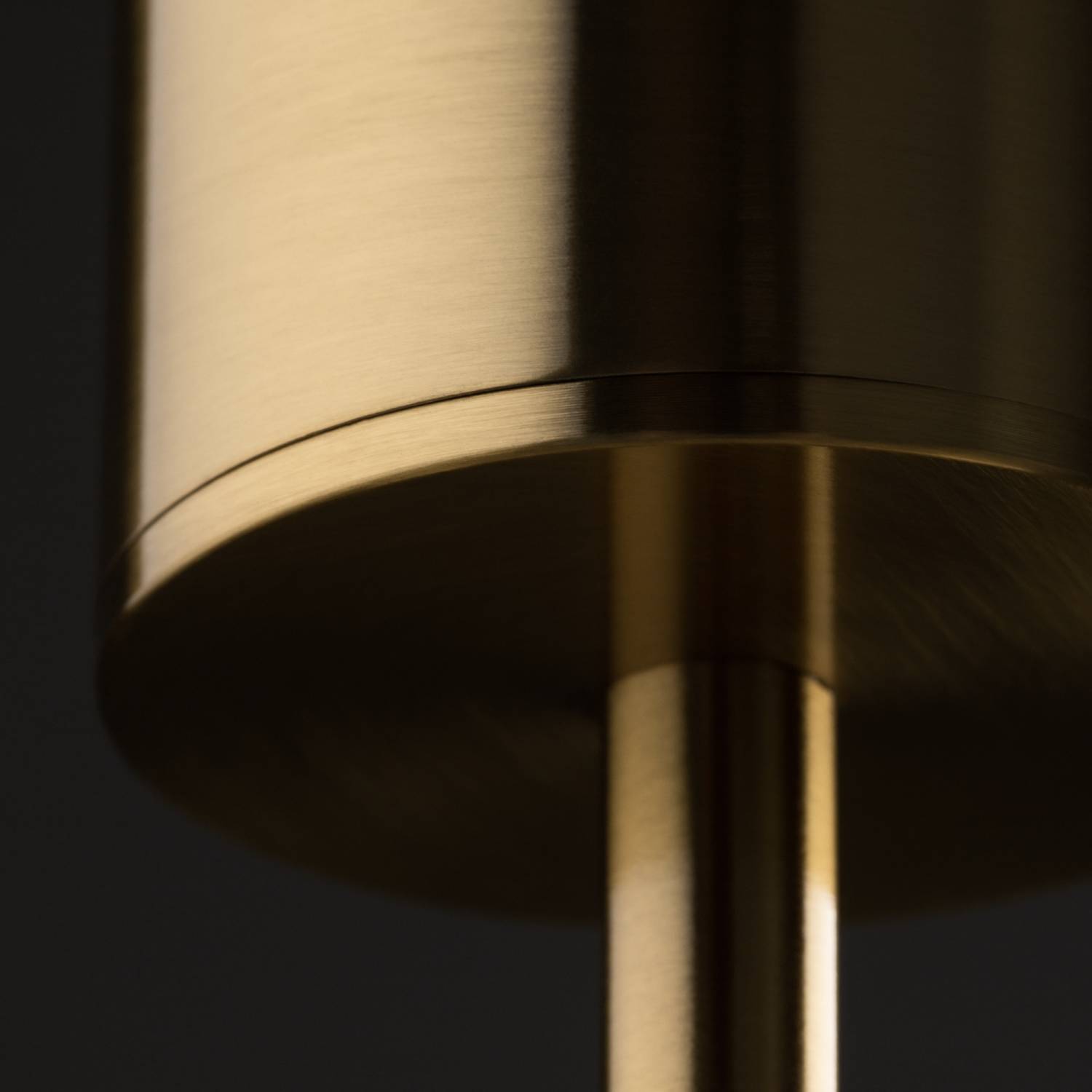 Светильник подвесной Freya Pina FR5387PL-L14BS